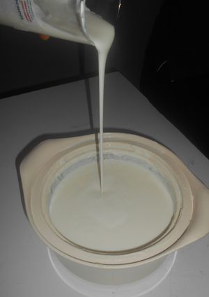 A picture of Fresh fermented yoghurt.