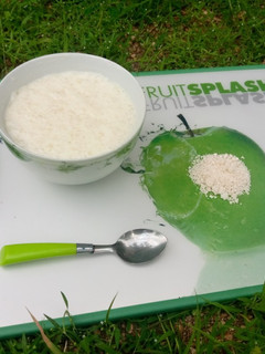 A picture of Tapioca.