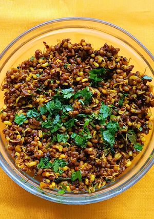 A picture of Sprouted math masala.