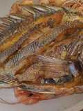 Sargo frito