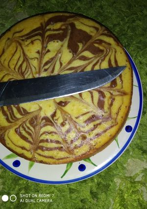 A picture of Marbled yogurt cake.