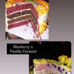 A picture of Red velvet, chocolate,blue berry and vanilla cake.
