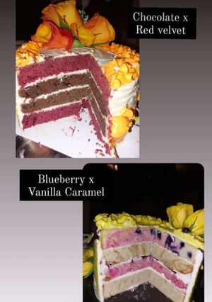 A picture of Red velvet, chocolate,blue berry and vanilla cake.