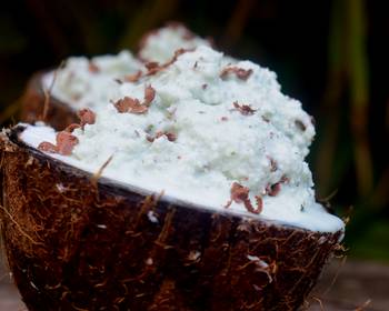 The New Way Make Recipe Vegan Mint and Coconut Ice Cream Practical Delicious