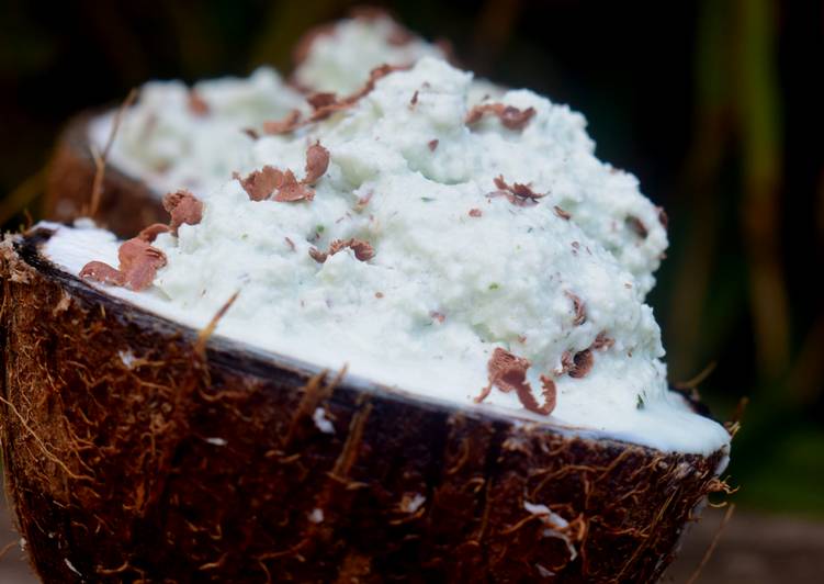 Simple Way to Prepare Speedy Vegan Mint and Coconut Ice Cream