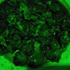 A picture of Matumbo stewed(tripe).