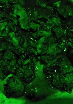 A picture of Matumbo stewed(tripe).