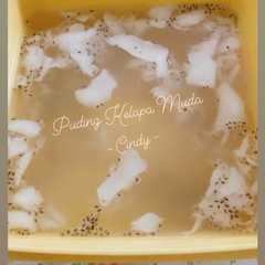 Puding Kelapa Muda রেসিপির প্রধান ছবি