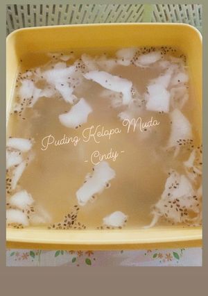Foto resep Puding Kelapa Muda