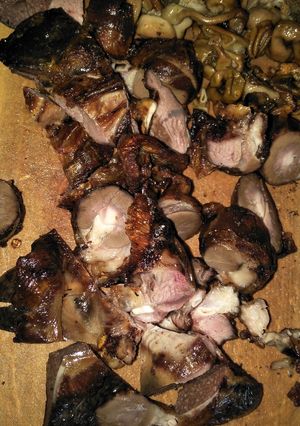 A picture of Kidney choma.