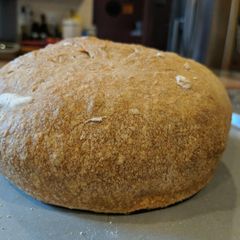 A picture of Lazy Sourdough.