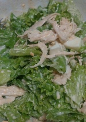 รูปของ สลัดอกไก่