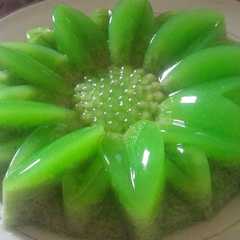 A picture of Puding Pandan Praktis.