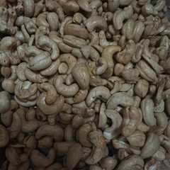 รูปของ Kacang mete