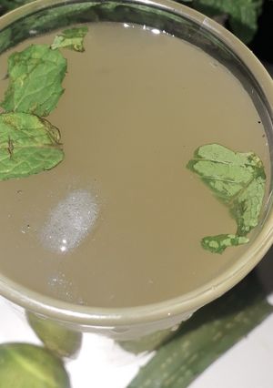পুদিনা এলোভেরা শরবত (Pudina alovera shorbot recipe in Bengali) রেসিপির প্রধান ছবি