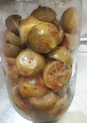 عکسی از دستور لیموترشی