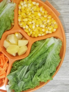 Foto resep Salad Platter