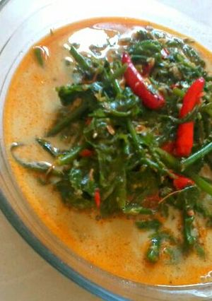 Foto resep Pakis Kuah Santan Sederhana