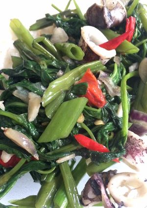 Foto resep Tumis kangkung cumi