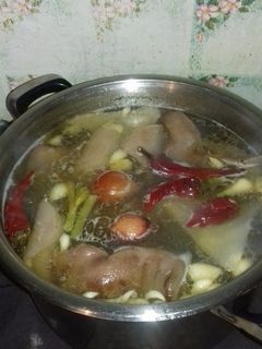 Házi Kocsonya recept fotója