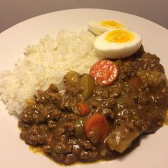 A picture of Curry Rice.