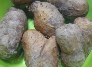 Foto resep Gembili kukus