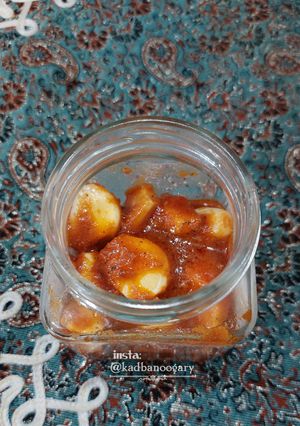 عکسی از دستور سیر ترشی عربی 🧄