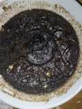 Kue oreo kukus