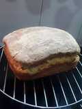 Homemade Whole wheat Bread