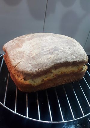 A picture of Homemade Whole wheat Bread.