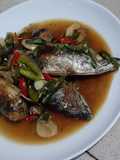 Tongkol Cabai hijau
