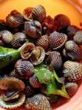 Kerang/tuday bumbu pedas