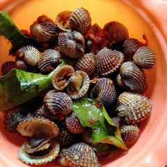 รูปของ Kerang/tuday bumbu pedas
