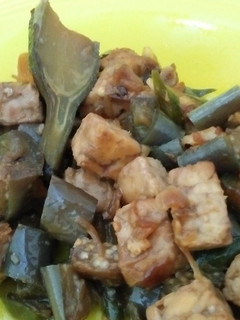 Foto resep Oseng Terong Tempe