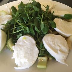 Pea Shoot Salad A picture of Pea Shoot Salad.