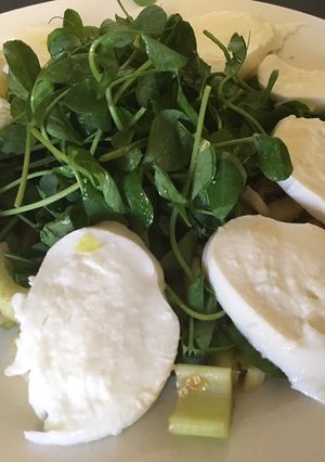 A picture of Pea Shoot Salad.