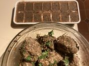 A picture of sautéed beef liver