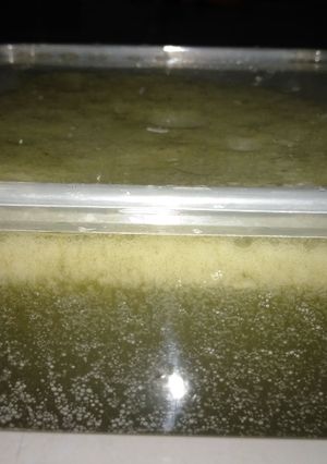 Foto resep Cincau hijau