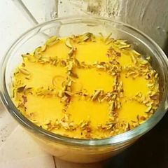 A picture of Custard.