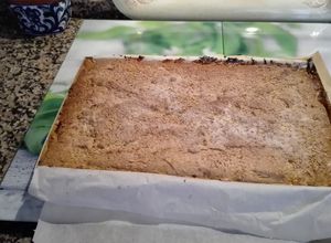 Una foto de Torta de aceite con matalauva