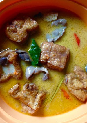 Foto resep Sayur Santan