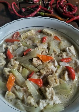 Foto resep 45. Sayur Santan isi Tempe, Tahu dan Labu Siam