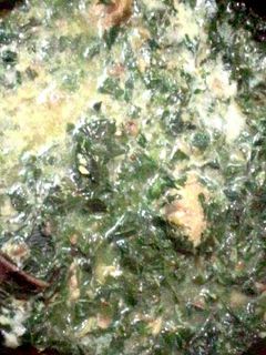 Foto resep Sayur Bobor Daun Singkong