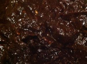 Una foto de Salsa de ciruela para Pavo relleno