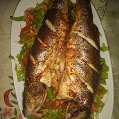 A picture of Grilled Fish n salad.