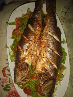 A picture of Grilled Fish n salad.