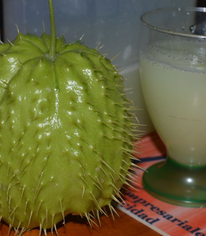 Una foto de Jugo de chayote crudo