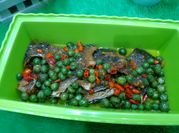 Gambar lencak ikan asin