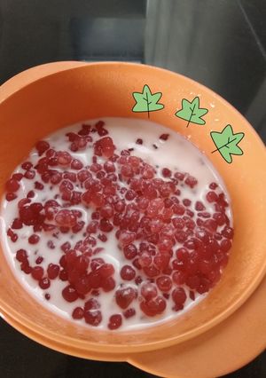 Foto resep Bubur Sagu Mutiara