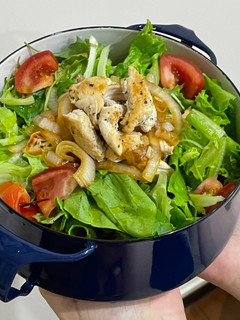 嫩煎雞肉蔬菜沙拉🥗 的食譜成品照片